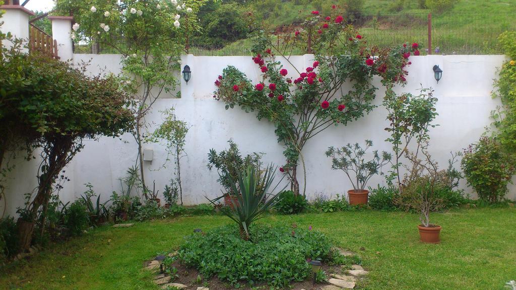 Petrovi Guest House Obzor Luaran gambar